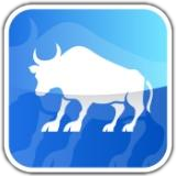Taurus